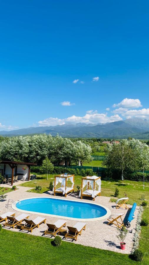 Epic House Valea Avrigului Villa Dış mekan fotoğraf