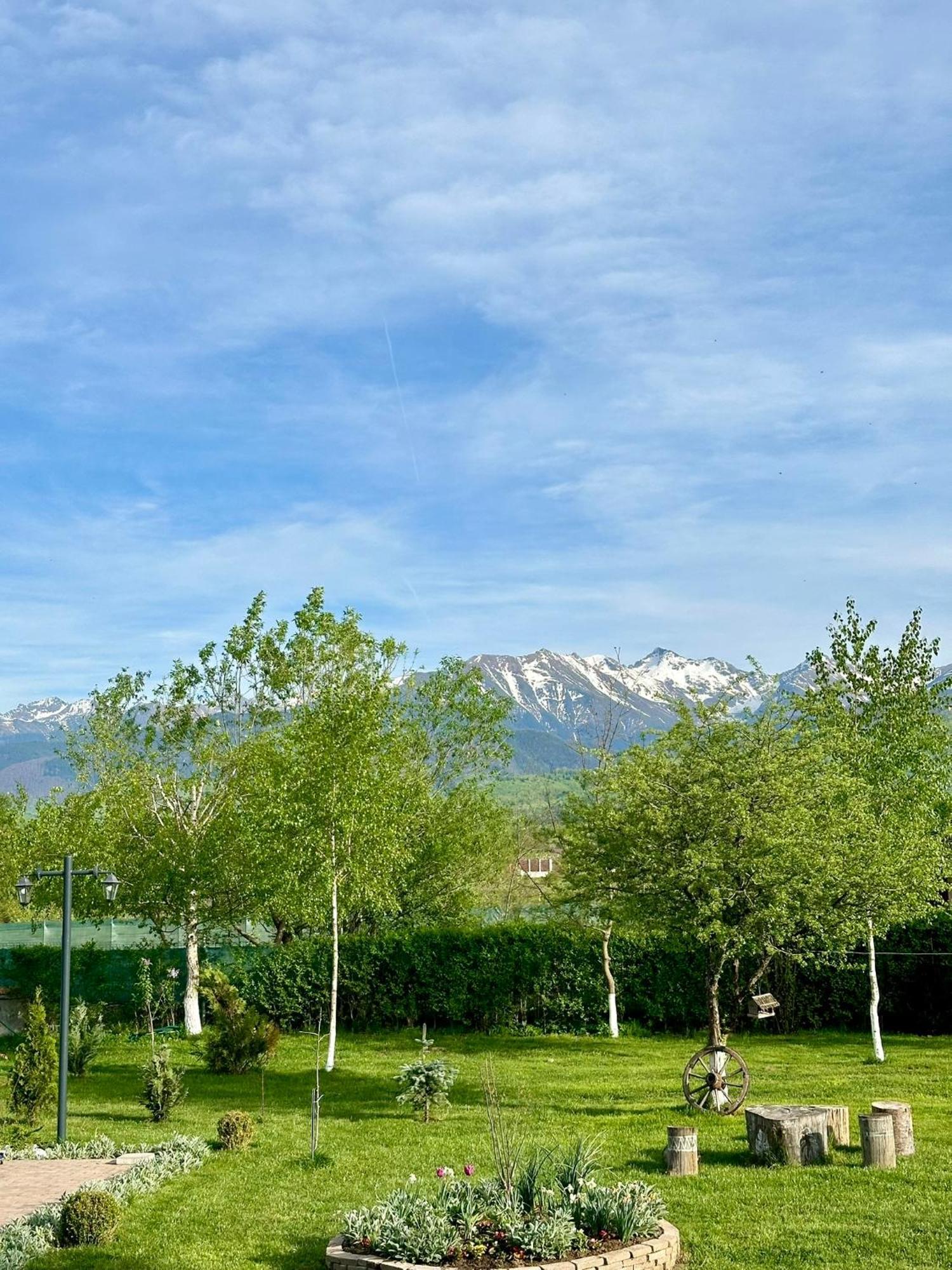 Epic House Valea Avrigului Villa Dış mekan fotoğraf