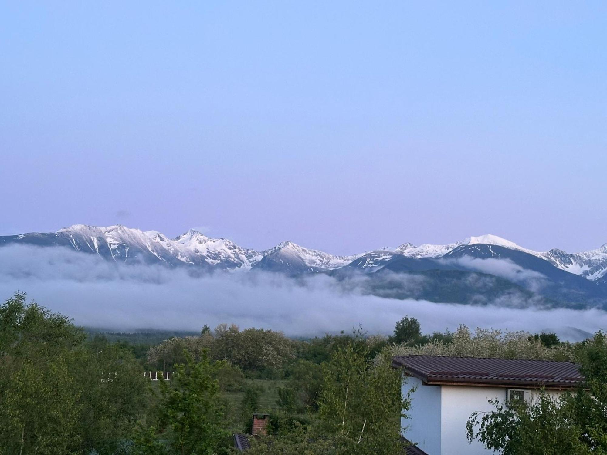 Epic House Valea Avrigului Villa Dış mekan fotoğraf